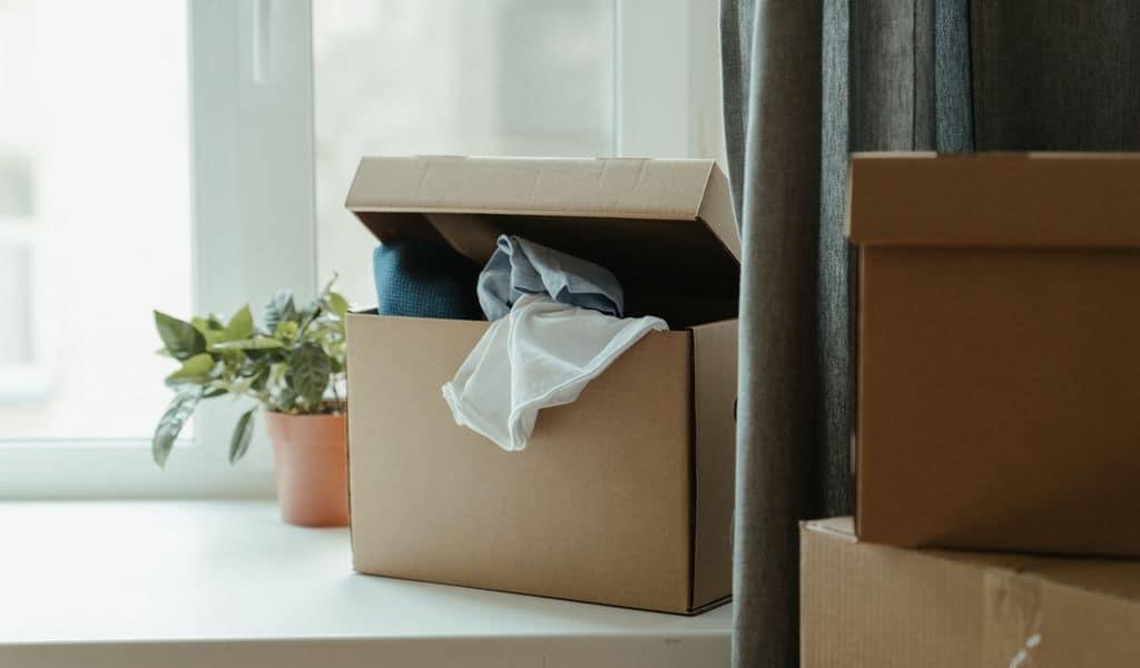 Moving boxes and plant on the counter