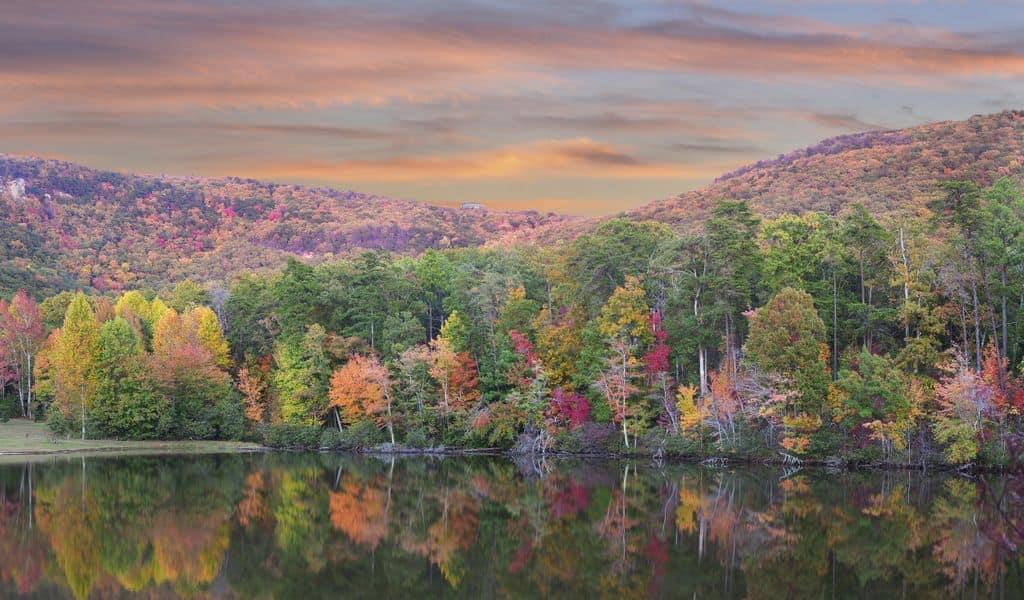 A reflected view of the trees in the Lake at Cheaha State Park, Alabama