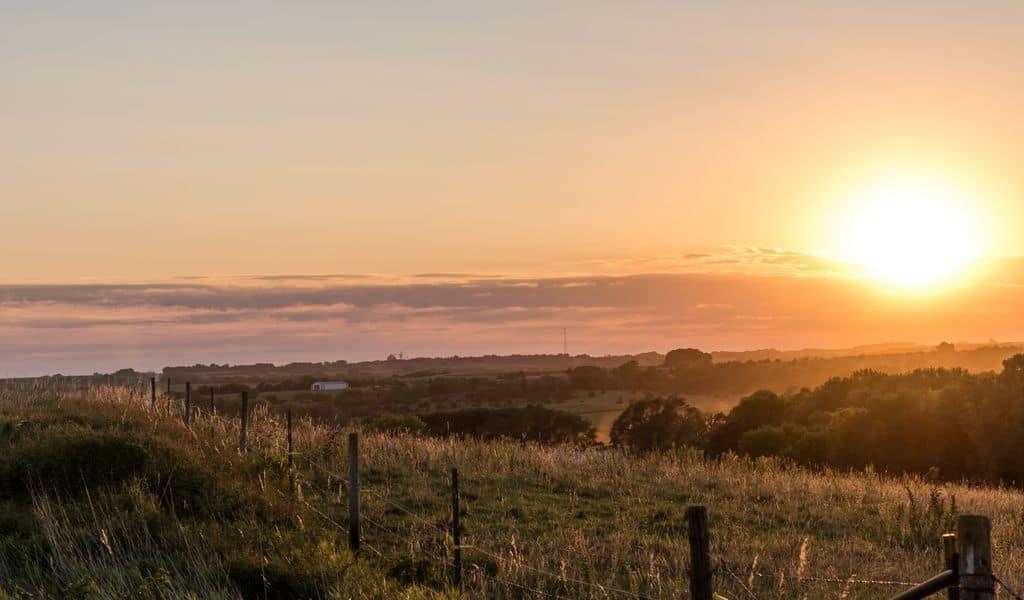 Green field with fence and trees at sunset with blue sky in the background.