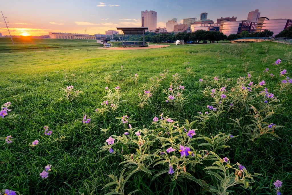 Sunrise in Fort Worth when you moved