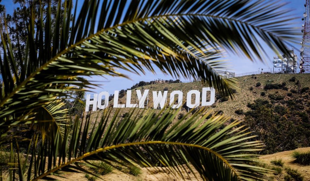 Hollywood sign behind a green palm tree leaf