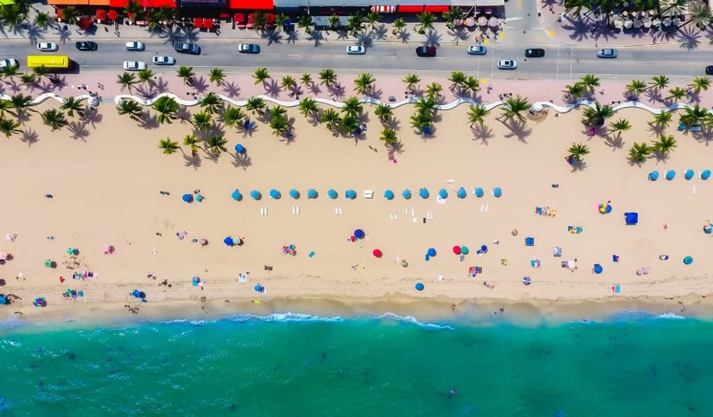 Beach with palm trees and umbrellas beside the ocean