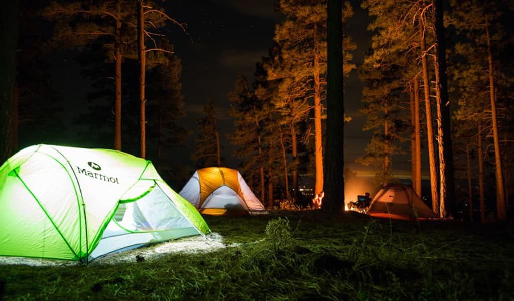 Various campers in a forest