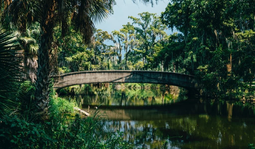 A park in New Orleans which has a beautiful and lush greenery