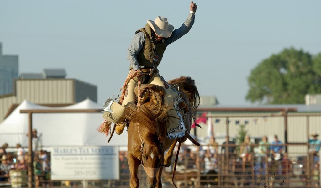 Cowboy with white hate riding a brown horse at a rodeo