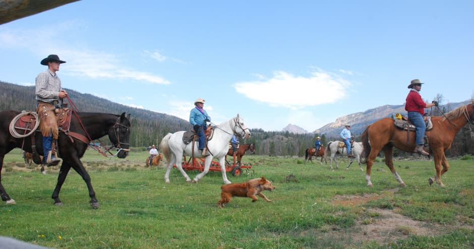 People working on a ranch in Wyoming, with horses and dogs