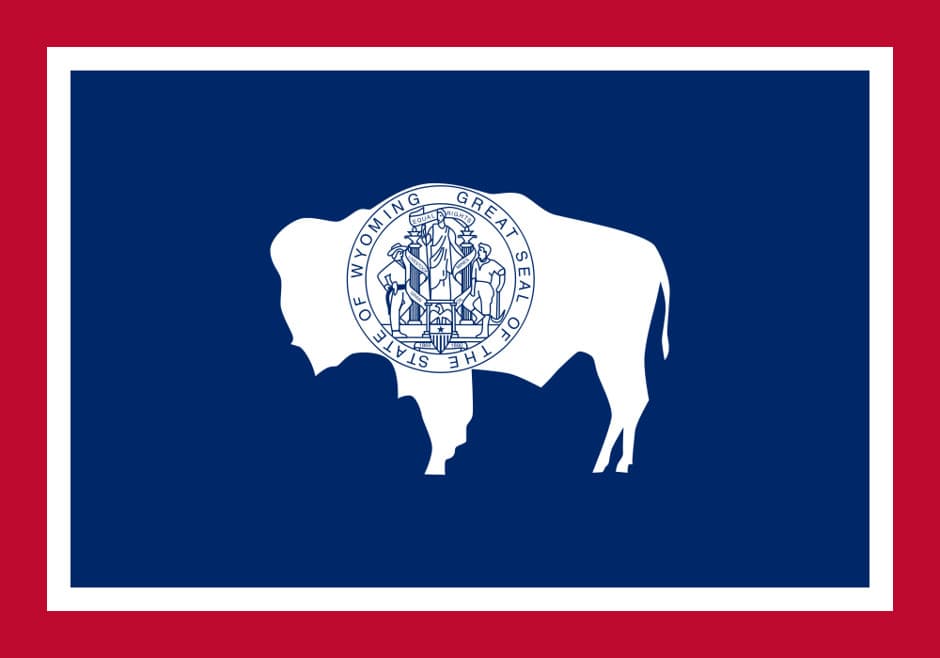 The seal of the state- A Bison, red, blue & white