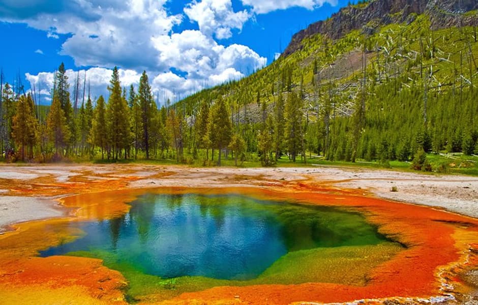 Famous Yellow Stone National Park, colourful and surrounded by Pine