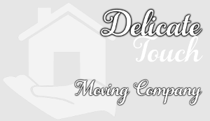 delicate-touch-logo